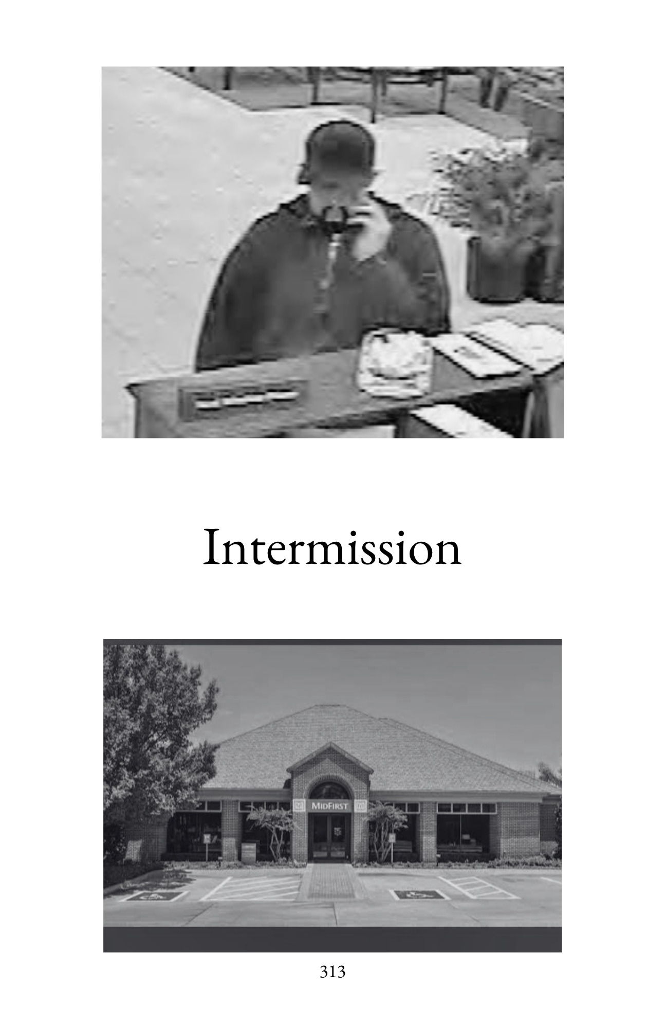 Memoirs of a Bank Robber